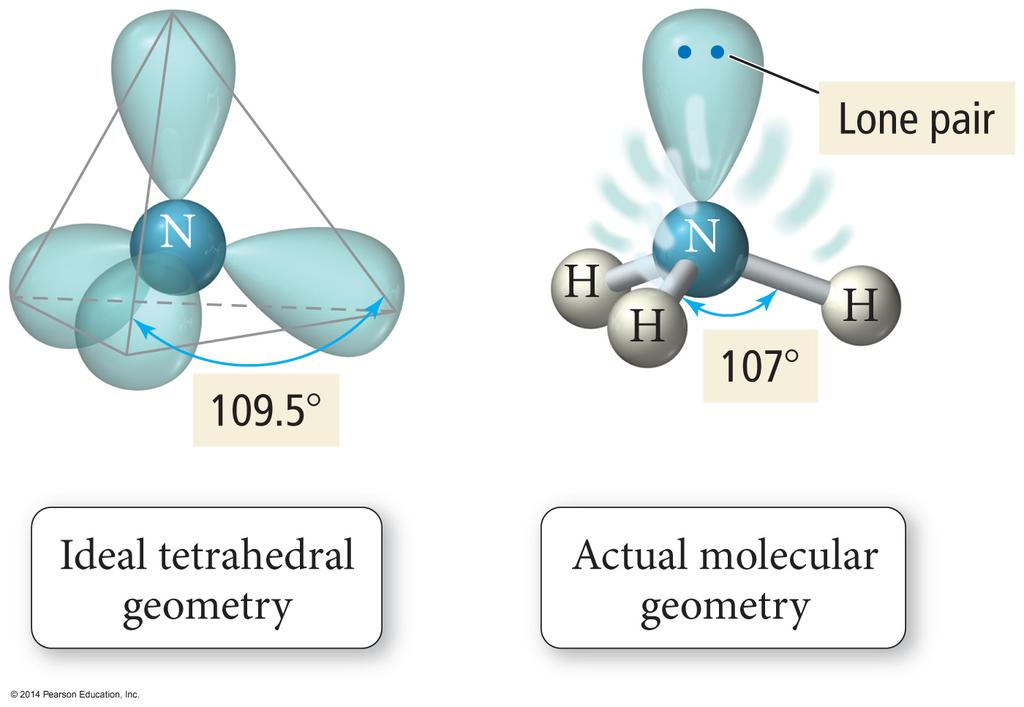 Lone pairs press on adjacent covalent bonds and compress the bond angles between covalent bonds.