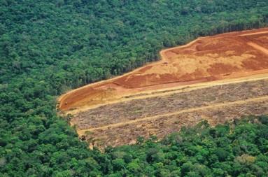 What are the causes of deforestation in the Amazon Rainforest?