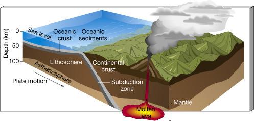 s where plates collide (e.g. Himalayas) and/or deep trenches, where old crust is subducted (e.g. Peru-Chile Trench).