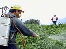PESTICIDES: NATURAL SELECTION IN ACTION Pesticides are used to kill insects in crops and homes Insects evolve resistance to pesticides over time High doses and more potent