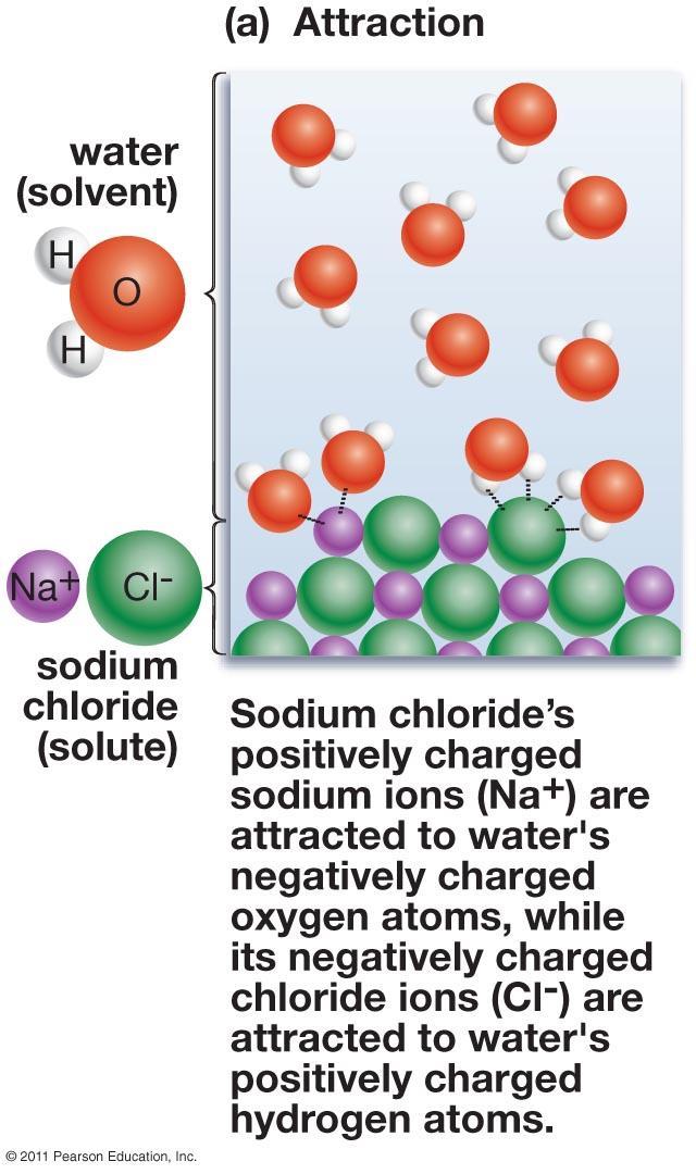 and polar covalent molecules. For example, when a crystal of salt (NaCl) is placed in water, the Na+ cations interact with the partial negative charges of the oxygen regions of water molecules.
