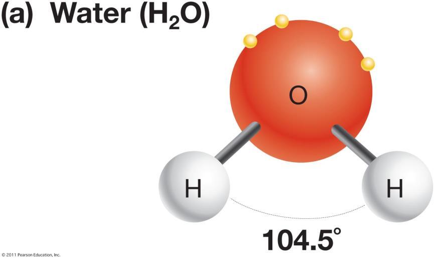 hydrogen atoms joined to an oxygen atom by single polar covalent bonds.