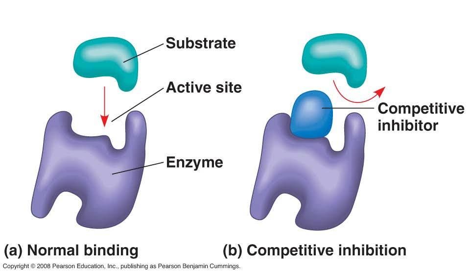 Competitive Enzyme Inhibitors Certain chemicals selectively inhibit the action of specific enzymes. If inhibitors attach to the enzyme by covalent bonds, inhibition may be irreversible.