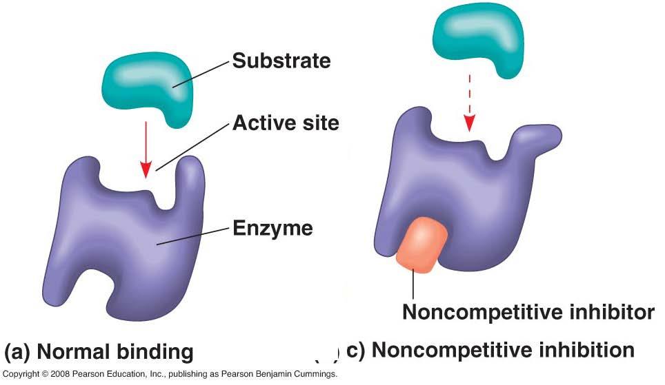 Non-Competitive Enzyme Inhibitors Non-competitive inhibitors effect enzymatic reactions by binding to another part of the molecule.