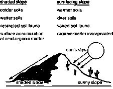 MICROCLIMATE AFFECTS SUN EXPOSURE