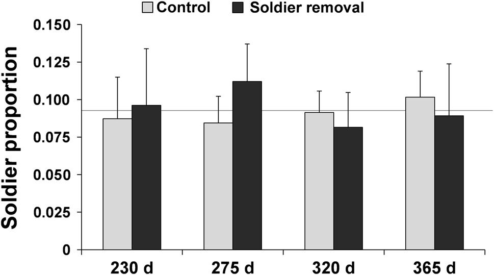 Cost of soldiers in termite incipient colonies 27 Fig.
