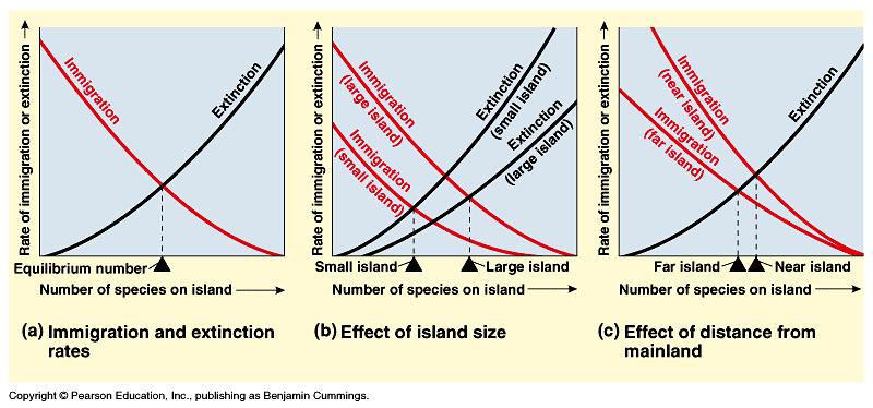 Equilibrium Theory of Island Biogeography distance effect -
