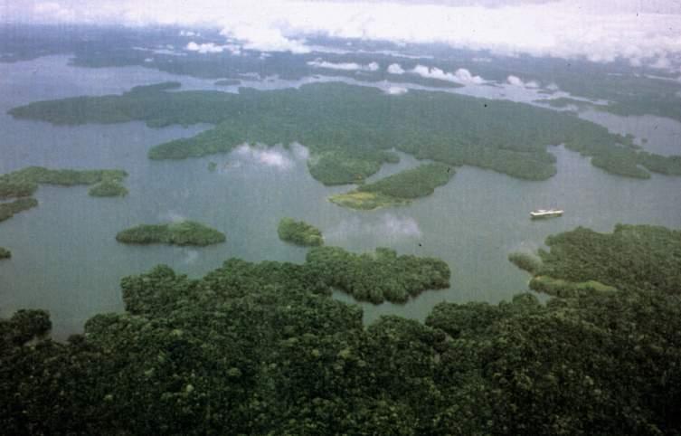 ) Barro Colorado Island - continental island (formed with Panama Canal)