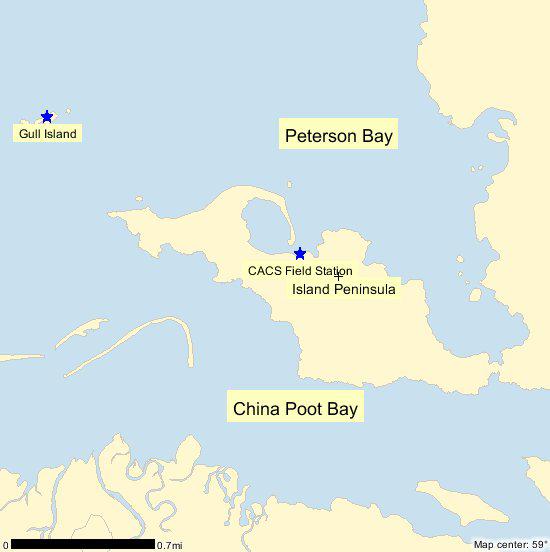 10. This is a map of the area around the Center for Alaskan Coastal Studies Field Station on the Island Peninsula between Peterson and China Poot Bays that was redrawn after the shoreline layer was
