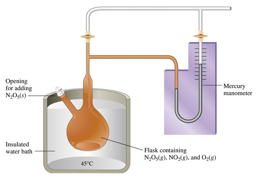 An Experiment to Follow the Concentration of N O 5 as the Decomposition Proceeds 34 Dependence of Rate on Concentration When the concentration of nitrogen dioxide is doubled, the reaction rate