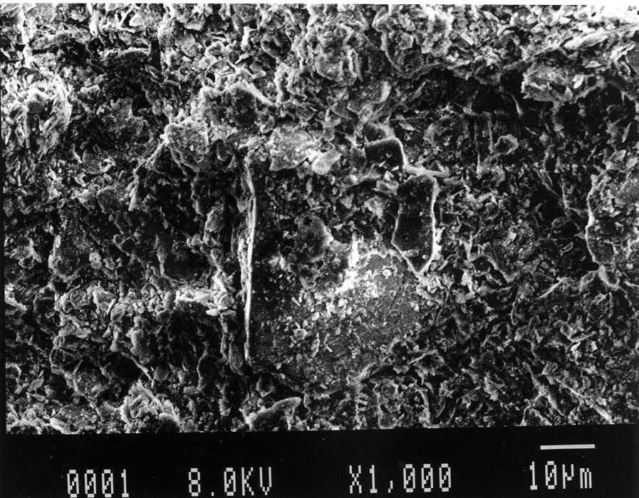 WHAT IS QUICKCLAY? Natural quickclay from Trondheim (Norway) SEM microscopy The quartz particles are small and also plate like!! Texture analysis %!