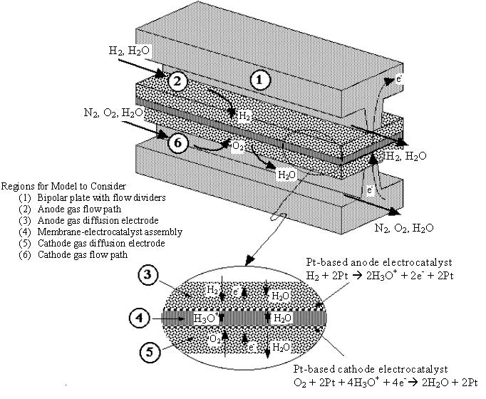 1.1.1 Overview of PEM Fuel Cell Membrane Electrode Assembly As illustrated in Figure 2, A fuel cell consists of an anode, a cathode, and an electrolyte impregnated with a catalyst.