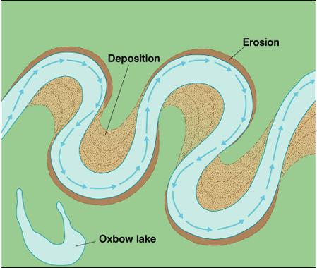 Examine the study area carefully and locate meanders, point bars (areas of sediment deposition) and cut banks (areas where erosion is occurring).
