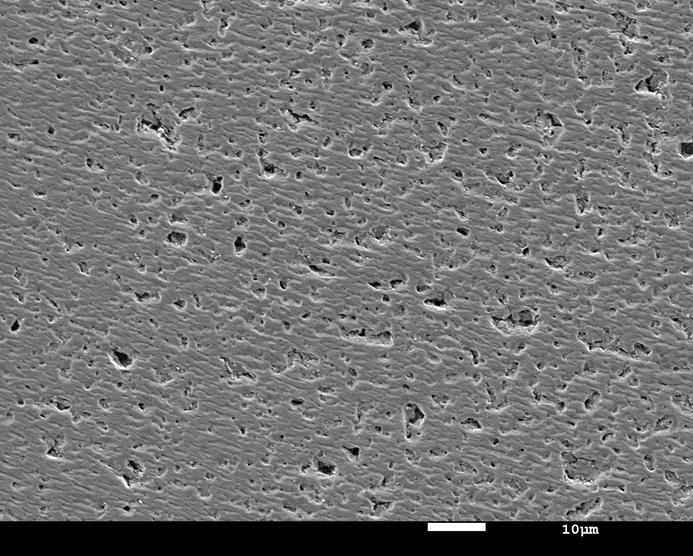 S5 SEM images of P2 prepared under acid condition (from ph 2 to ph 4) at the concentration of 7.0 10-3 mg/ml.