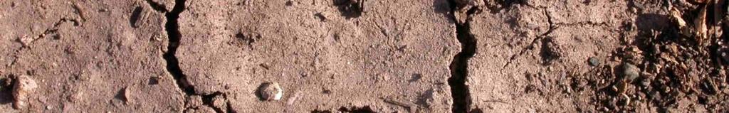 soils, the clay