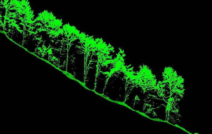 sufficient density of laser scan points, LiDAR returns from beneath a vegetation canopy will be recorded.