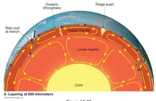 LAYER CAKE MODEL Some researchers argue that the mantle resembles a layer cake divided at a depth of perhaps 660 Km, but not more than 1000 Km.