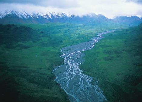 Figure 4 Braided streams, such as the Chisana River in Alaska, divide into multiple channels.