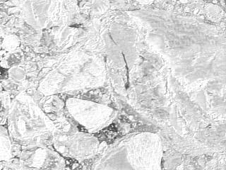 The ice in the other three images of Figure 3 is of same general ice type but has been fractured by the piers of the bridge; brash ice has also been produced in the