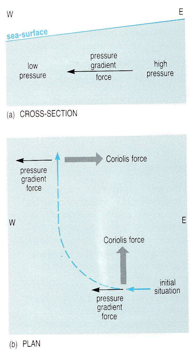 As the water starts to move, the Coriolis effect (rotation) deflects the water to the right () or left (SH).