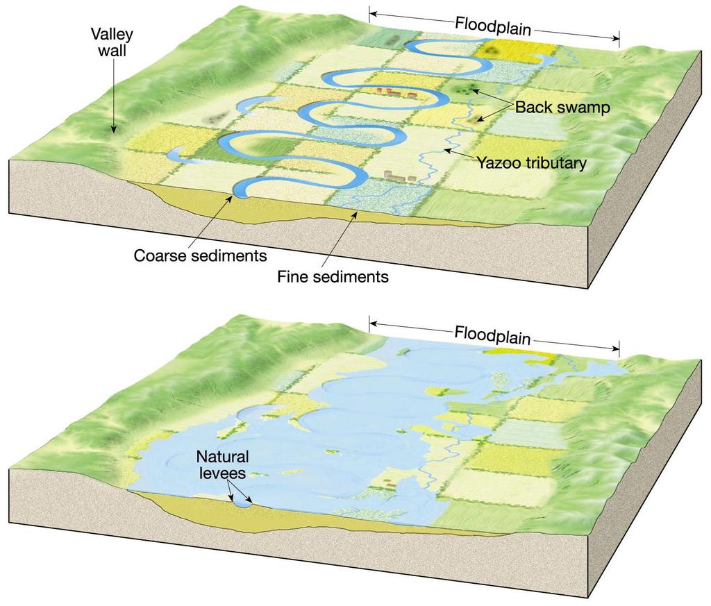 Formation of natural levees