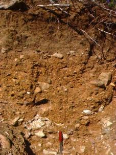 Chemical Weathering and Soils Processes of Decomposition Oxidation and Reduction iron is the most commonly oxidized