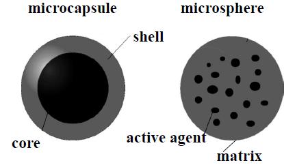 encapsulation of biological and chemical agents, in vitro investigations of microcapsule formulations, in vivo
