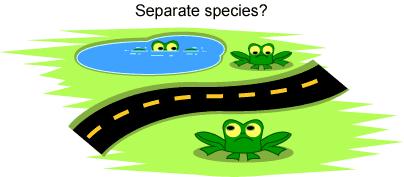 Currently the most accepted definition is the Biological species concept Individuals that
