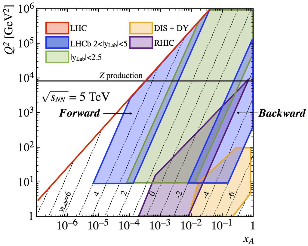Z production LHCb probes two distinct regions in x-q2: x1,2=(q/ s) e±y Forward kinematics: @ first order, collision of a sea