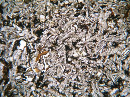 Petrography sheet No.1 Field Lake Natron (Na01) Plane-polarized light Feldspar Clay mineral Pyroxene 0.
