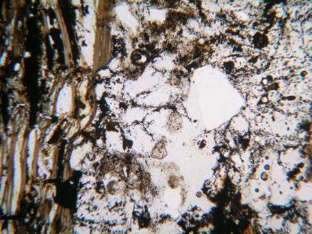 Petrography sheet No.5 Field Kasimulu (Ka01a) Plane-polarized light Biotite Quartz Opaque mineral 0.