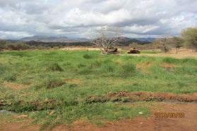 Masware; Ba01 This field is located to the north of Babati Town. The hot springs gush out from unconsolidated sands on the gentle slope. The vicinity of the hot springs consists of wetland.