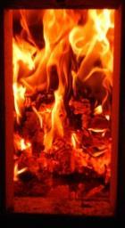Burning Process of Woody Material