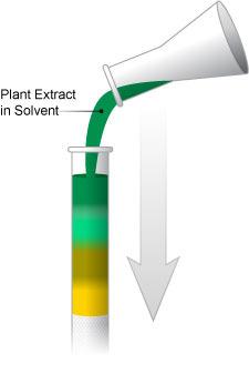 column, along with pure solvent As the sample moved down the vertical column, different colored bands could