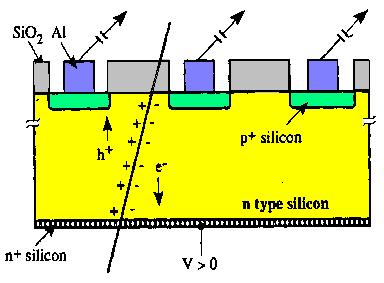 Silicon detectors Application of a reverse bias voltage (about 100V) the thin depletion zone gets extended over the full junction fully depleted detector.