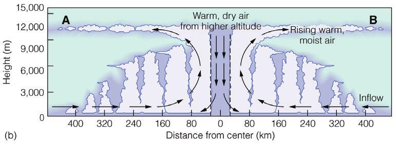 (b) A vertical section of the hurricane across the line from A to B in (a) shows how the warm, wet air rises and spreads out at an altitude of