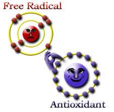Free Radicals are highly reactive molecules Example: Oxidants like O 2 - Formed by natural reactions in our bodies to break down fats & amino acids.