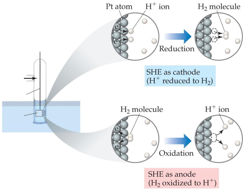 Standard Hydrogen Electrode Their reference is called the standard hydrogen electrode (SHE).