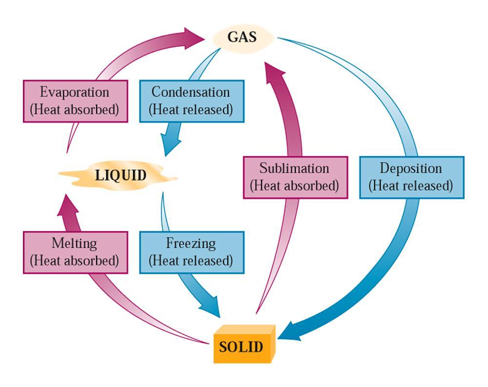 Changes of state Endothermic: heat is absorbed by a substance (or reaction) as some