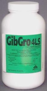 Gibberellins Hormones that stimulate cell