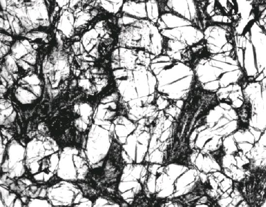 Figure IV-2. Photomicrograph of thin section of Governador Valadares. Section number 479 from University of New Mexico. Field of view is 2.2mm. 1999). Mikouchi and Miyamoto (1997) and Greshake et al.