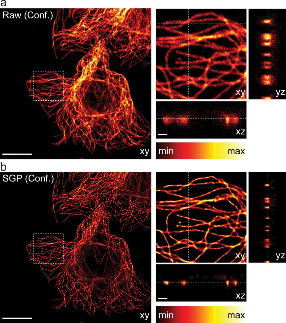 An Nonparametric Estimation Example Example: Image restoration Imagine that you are collaborating with biologists who are interested in imaging biological systems using a new type of microscopy.