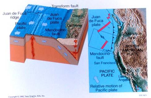Subduction along the Washington - Oregon coast Where oceanic crust is subducted beneath