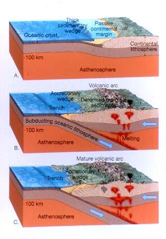 Ocean- Continent Convergence Earthquakes and Volcanoes Dense oceanic crust is subducted beneath lighter Continental crust, resulting in the formation of an oceanic trench and a linear