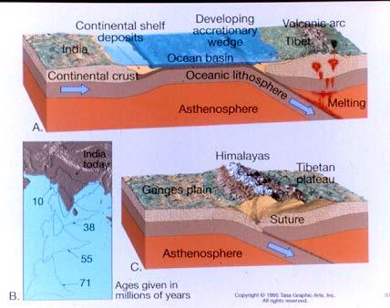 Continent- Continent Convergence Examples Himalayas European Alps Mountain Chains Earthquakes No Volcanoes Starts as oceanic - continent subduction.