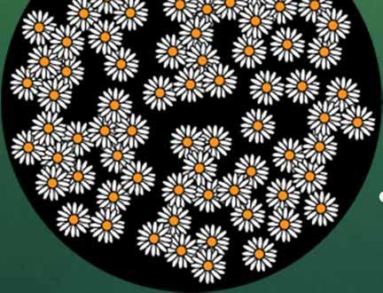 The white daisies have high albedo they reflect solar energy, cooling the planet.