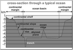 Features of active margins: Continental shelf often narrow and steeply sloping Continental slope may be the wall of an ocean trench Accretionary wedge formed from rock scraped off of subducting plate