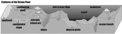 The deep-ocean basin: Basalt from seafloor spreading plus thick accumulations of sediment Abyssal plains, ocean trenches, and seamounts The deepest parts of the ocean are at the ocean trenches near
