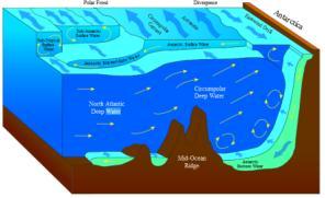 Atlantic Deep Water (NADW), and