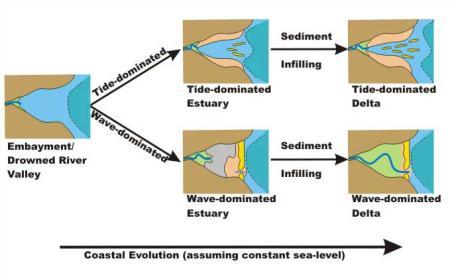 Estuaries evolution Types of estuary mixing Ozcoasts Australia s